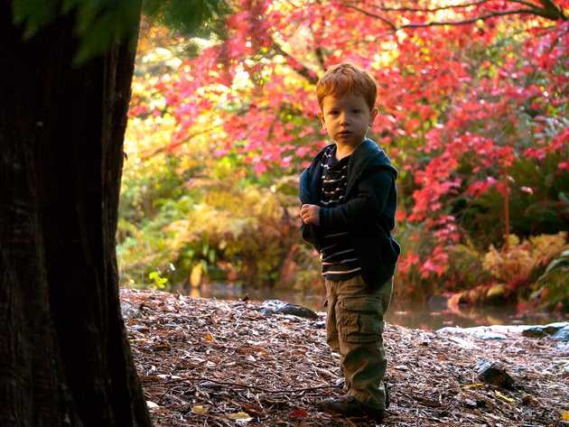 In the Arboretum