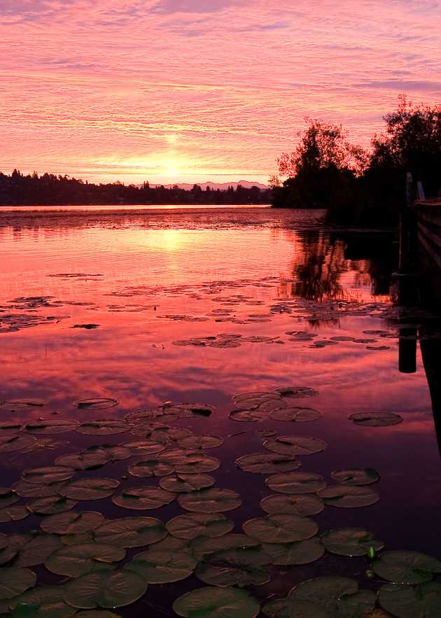 Sunrise over the Arboretum Wetlands