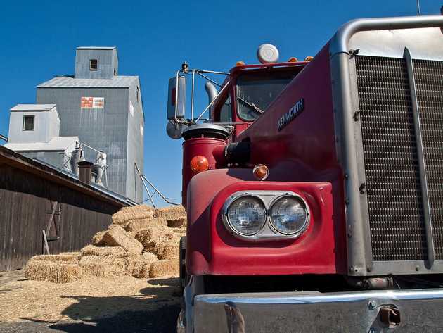 Truck, Hay, Chow