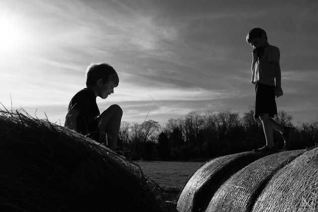 Springtime Silhouettes