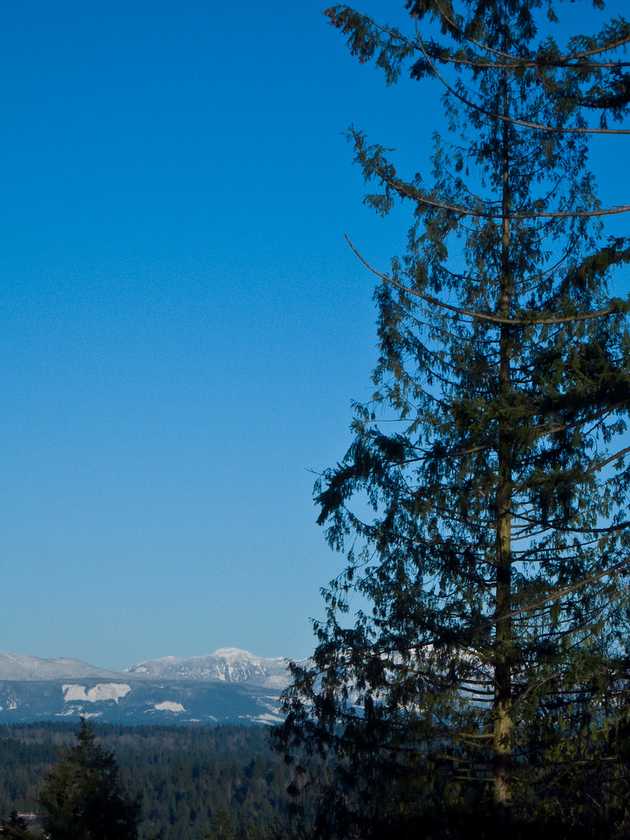 Cold light on the clearest day of the year