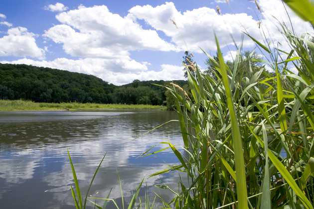 South Zumbro River