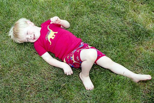 Summer in the Grass