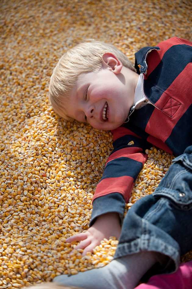 On a Bed of Corn