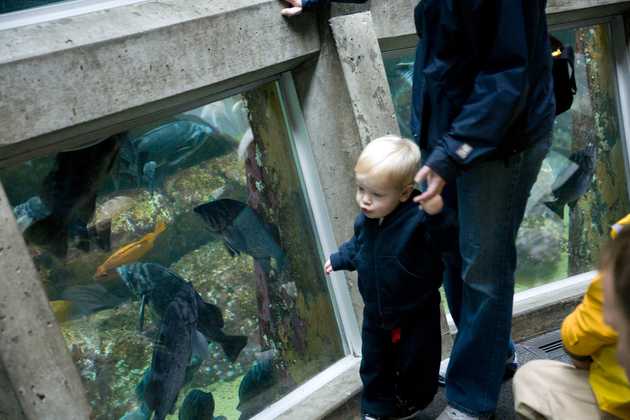 Alex and the rockfish