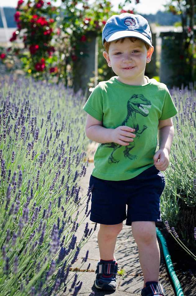 Patrick Walking through Lavender