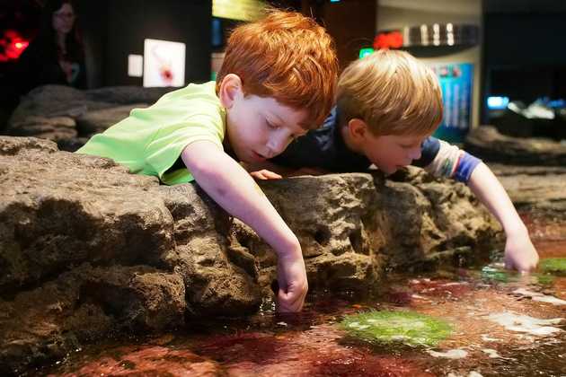 Touch Tank