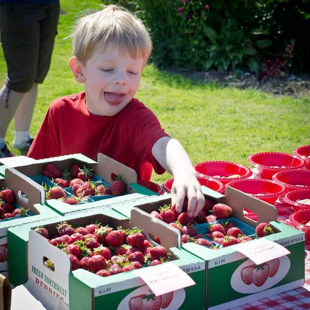 More Strawberries!