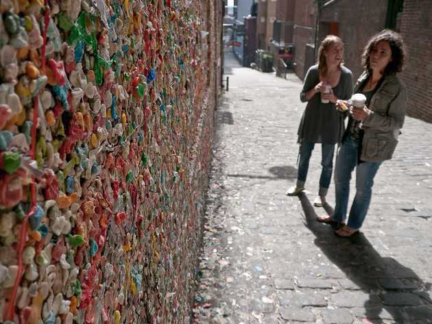 Gum Wall Admirers