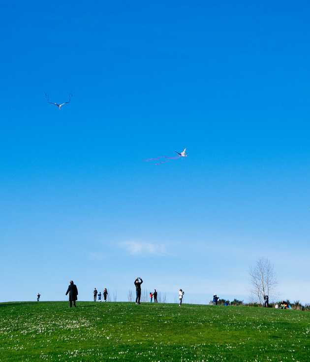 Kite Hill in February