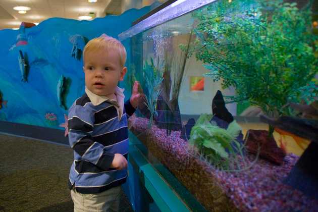 Alex at the fishtank